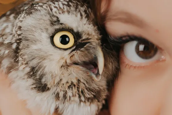 Καζίνο Λακυ Τιγκερ Υποστηριξη